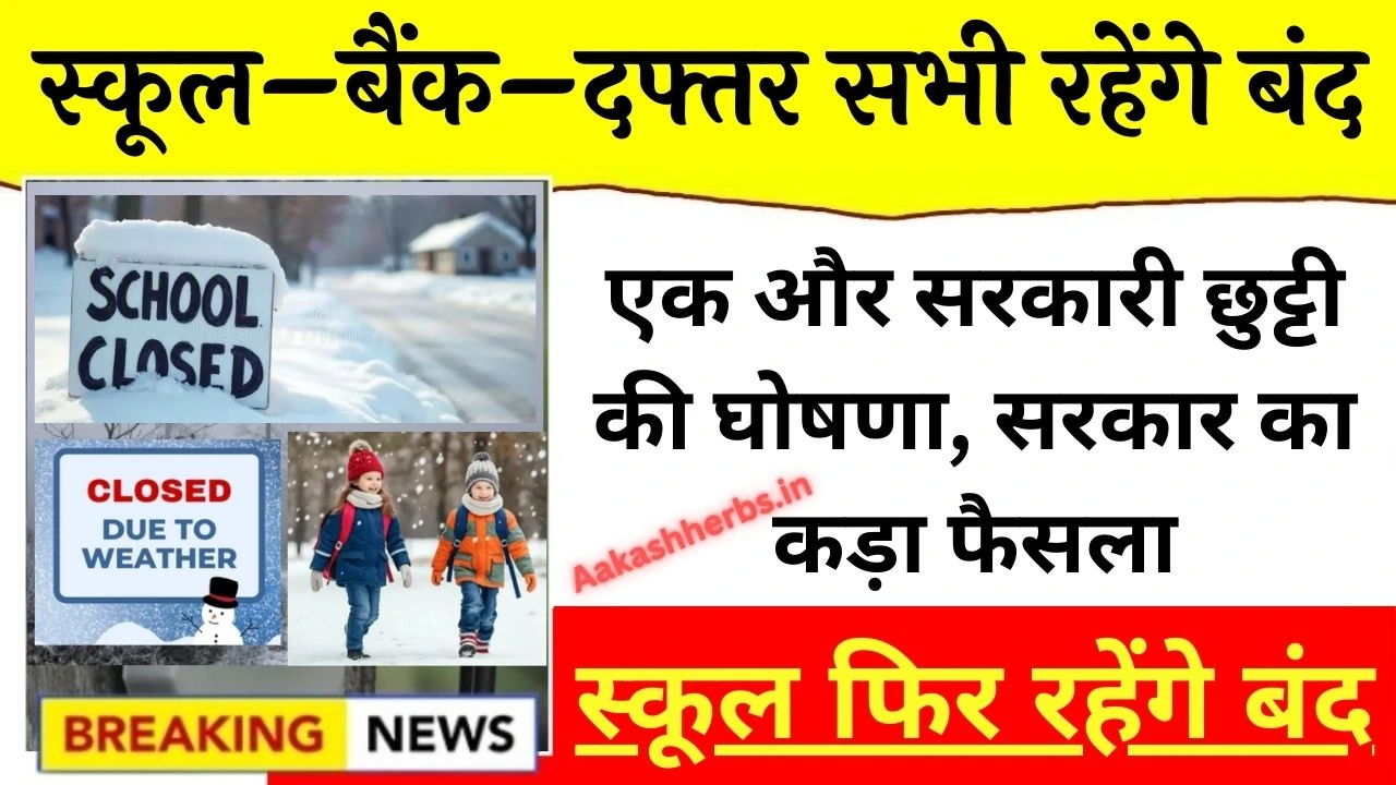 Public Holiday January 2026