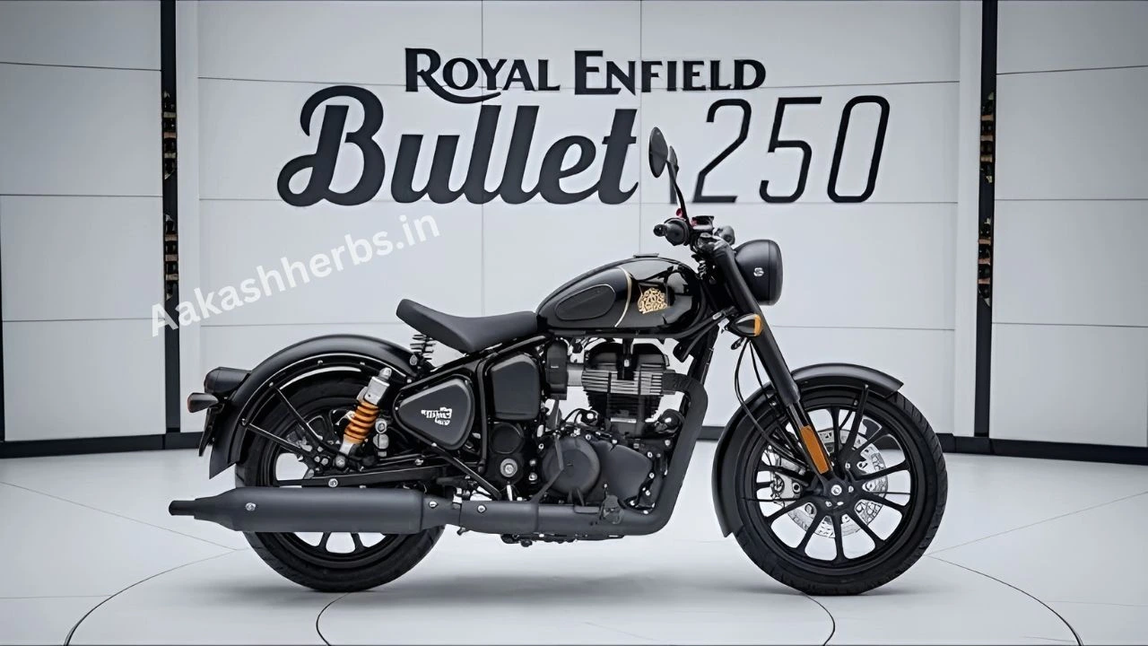 Royal Enfield 250