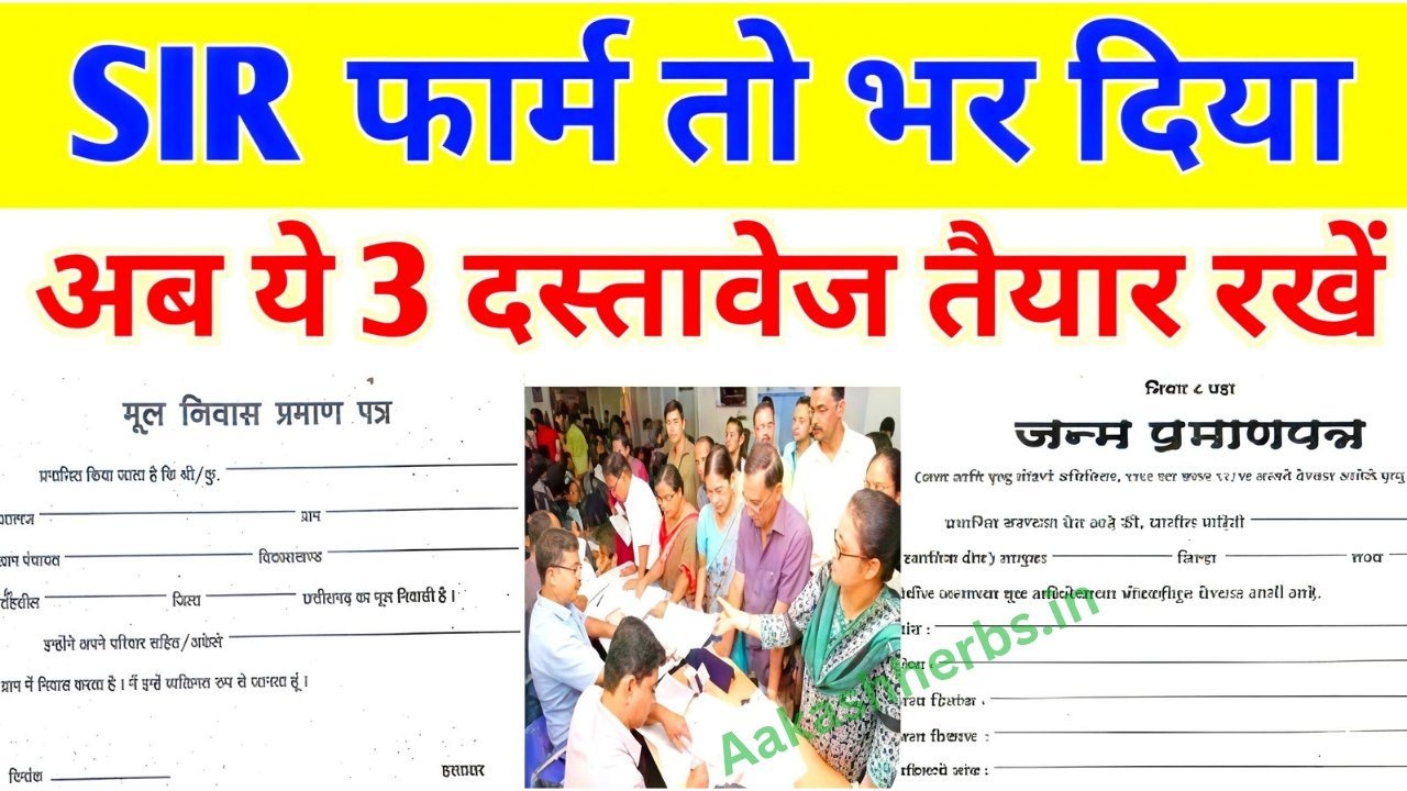 SIR Form Status Check